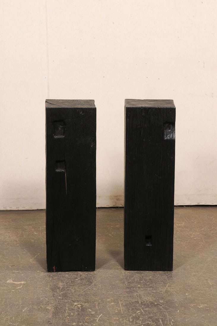 19th Century Indonesian Carbonized Ironwood Pedestal Columns – A Pair - 9