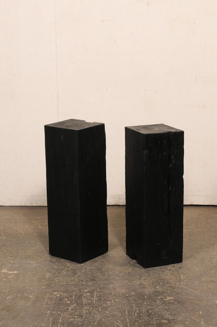 19th Century Indonesian Carbonized Ironwood Pedestals – A Pair - 10