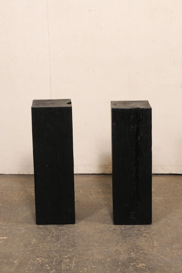 19th Century Indonesian Carbonized Ironwood Pedestals – A Pair - 11