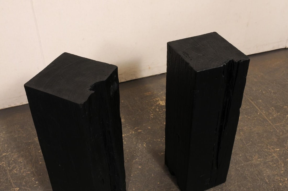 19th Century Indonesian Carbonized Ironwood Pedestals – A Pair - 12
