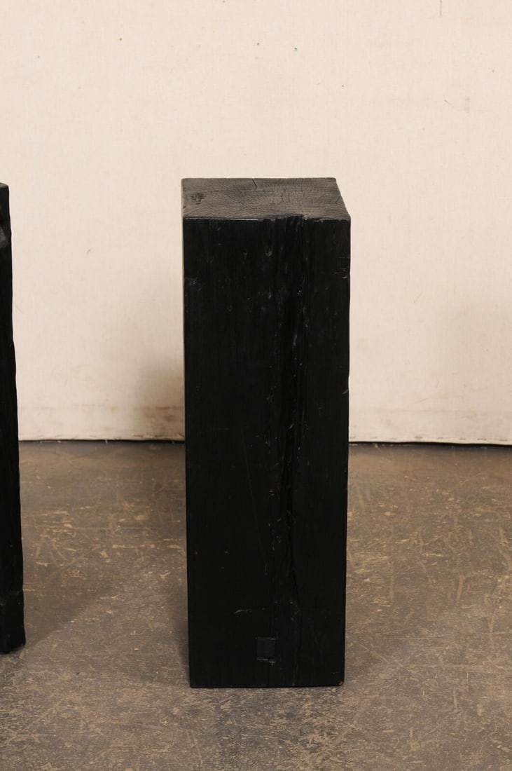 19th Century Indonesian Carbonized Ironwood Pedestals – A Pair - 2