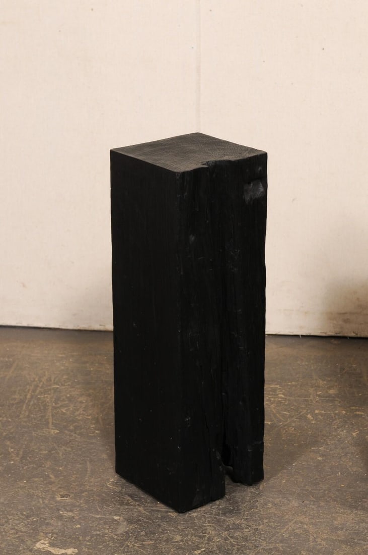 19th Century Indonesian Carbonized Ironwood Pedestals – A Pair - 3