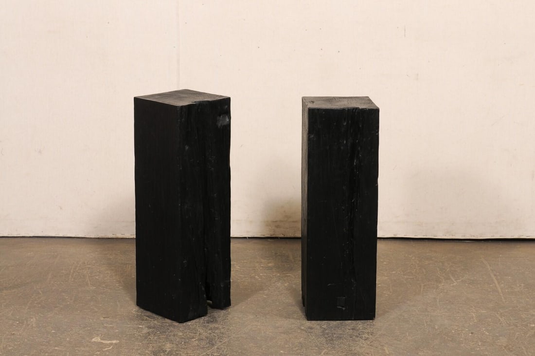19th Century Indonesian Carbonized Ironwood Pedestals – A Pair - 4