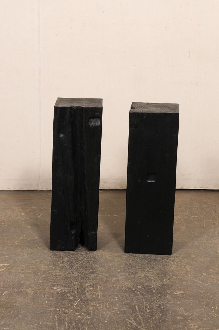 19th Century Indonesian Carbonized Ironwood Pedestals – A Pair - 5