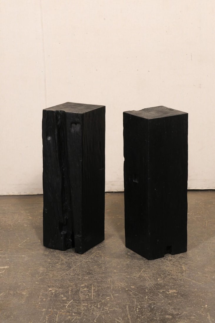 19th Century Indonesian Carbonized Ironwood Pedestals – A Pair - 6