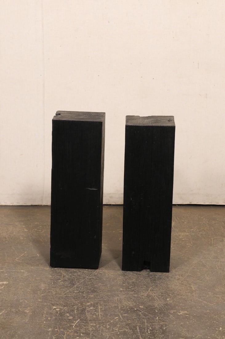 19th Century Indonesian Carbonized Ironwood Pedestals – A Pair - 7