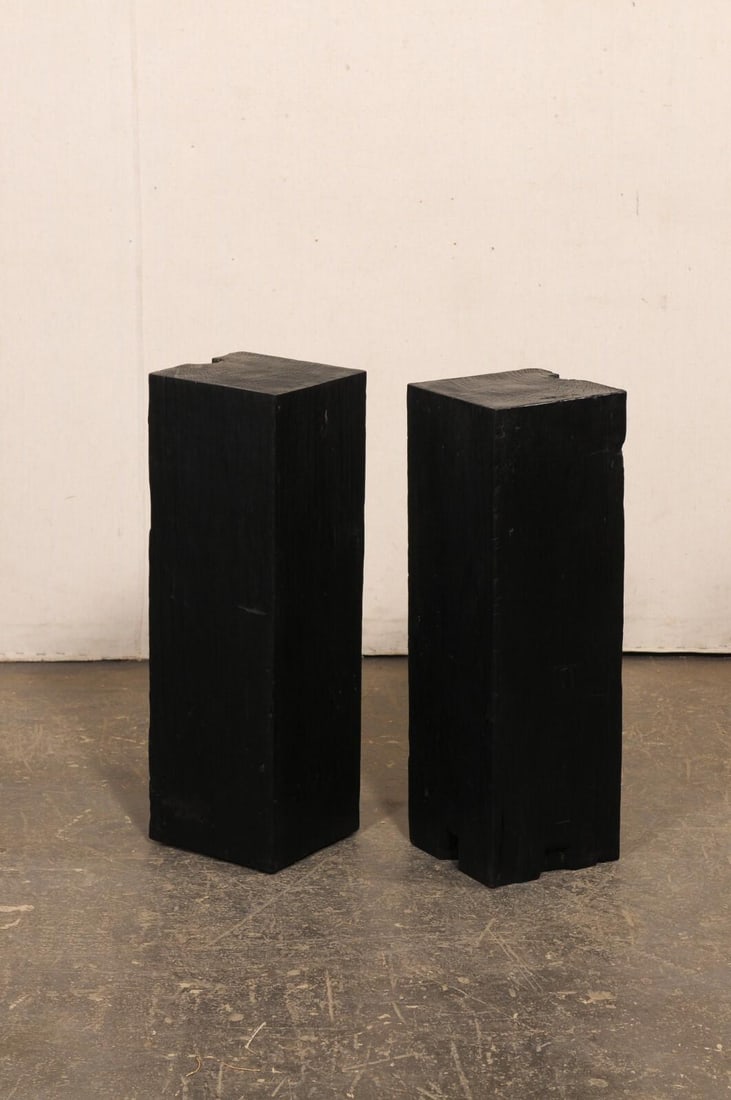 19th Century Indonesian Carbonized Ironwood Pedestals – A Pair - 8