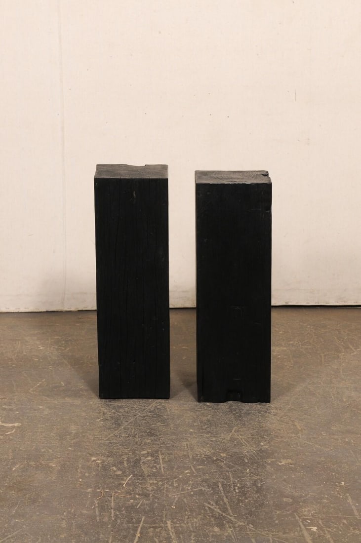 19th Century Indonesian Carbonized Ironwood Pedestals – A Pair - 9
