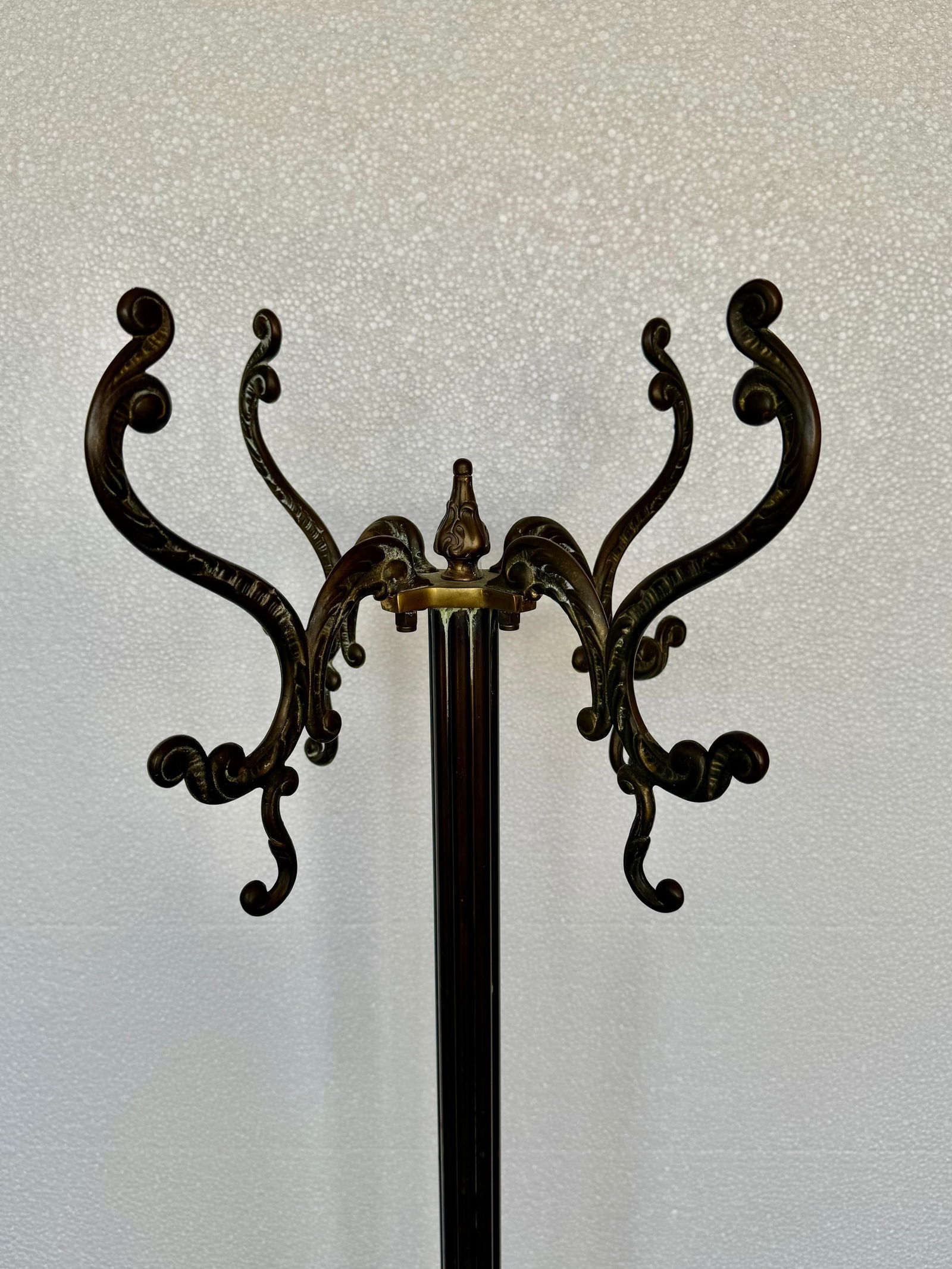 Early 20th Century Bronze and Brass Burnished Art Nouveau Belle Epoque Hanger, Bronze Grifone Feet - 18