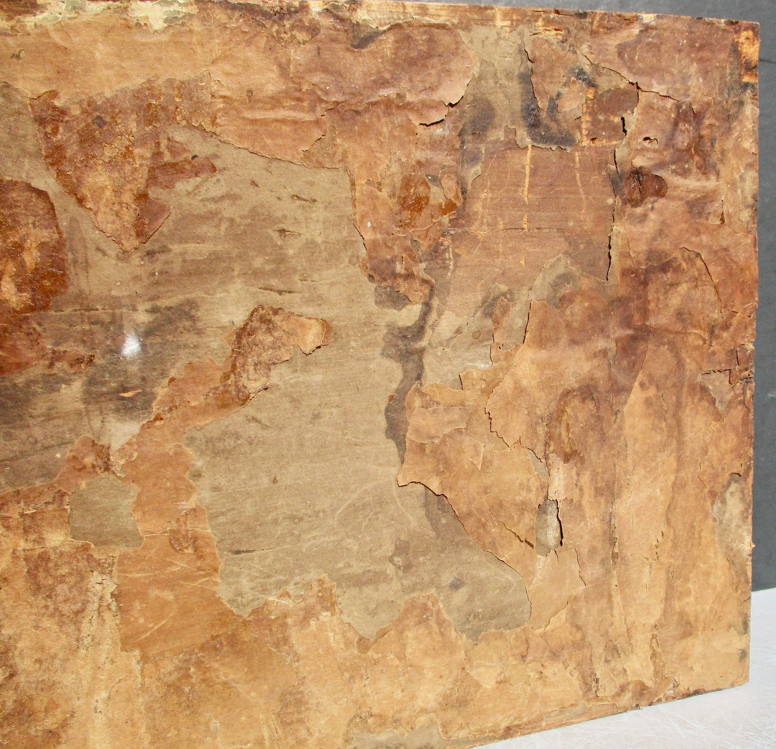 Cornelius Bavelaar Paper Cutout Diorama Circa 1800 Holland - 6