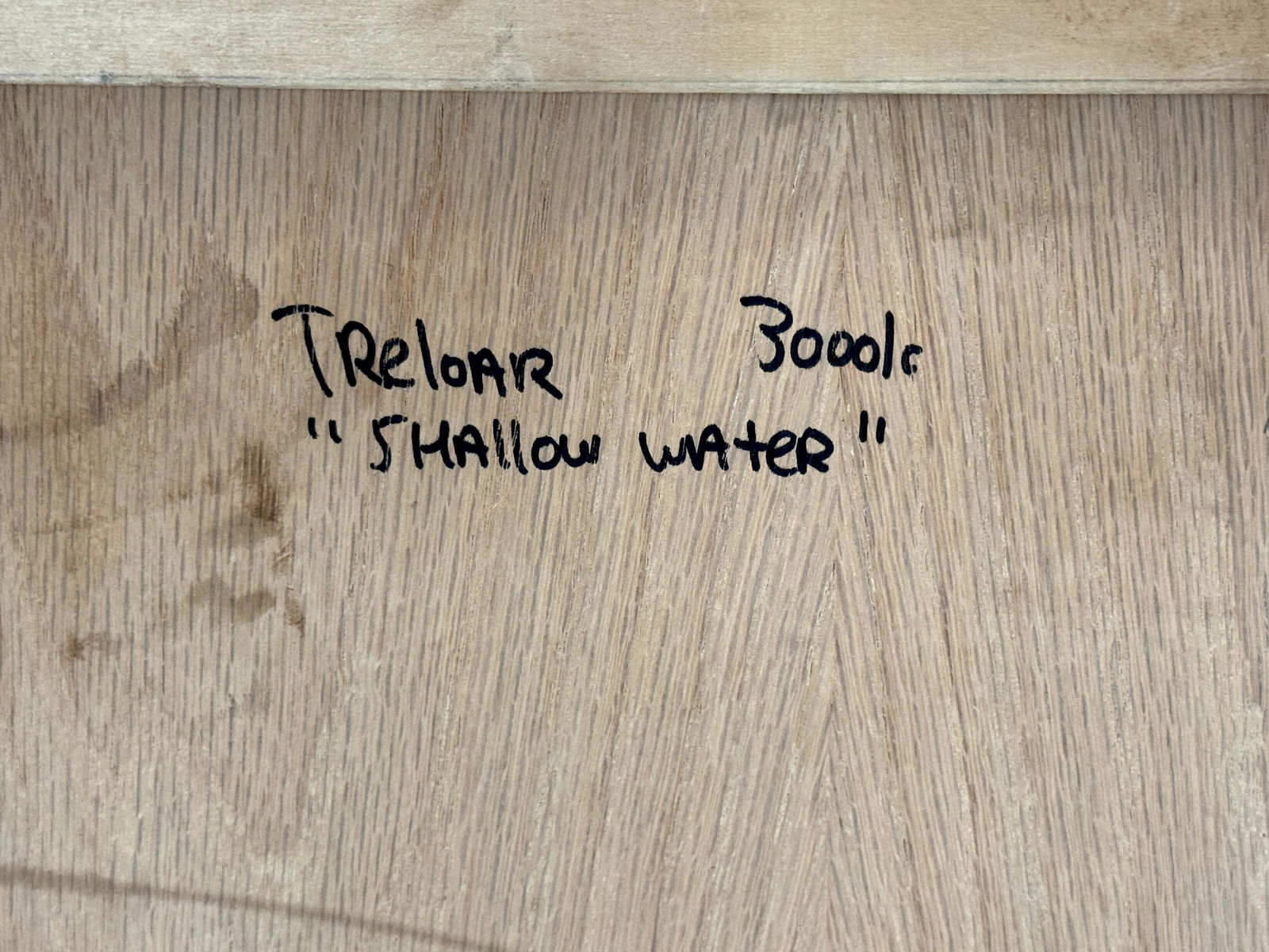 Treloar, Shallow Water, Verdigris-Patinated Copper Panel, No. 3000/c, 36" x 44" - 4