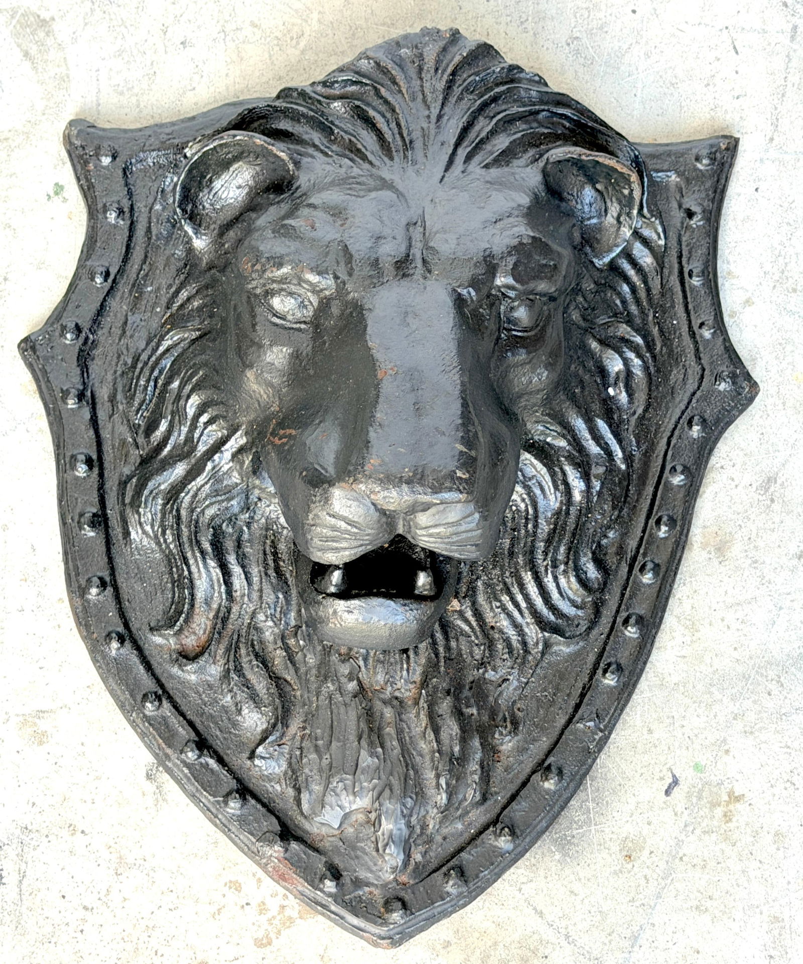 Large 19th C. American Cast-Iron Lion Shield Medallion, Architectural Ornament - 11