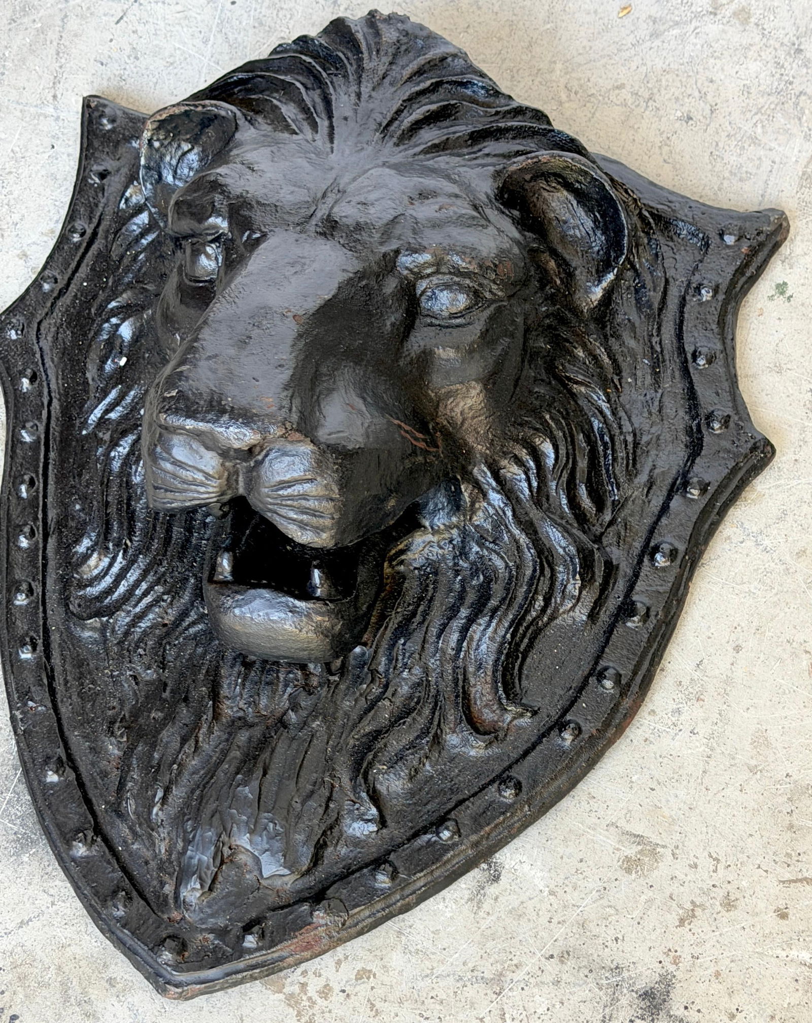 Large 19th C. American Cast-Iron Lion Shield Medallion, Architectural Ornament - 12