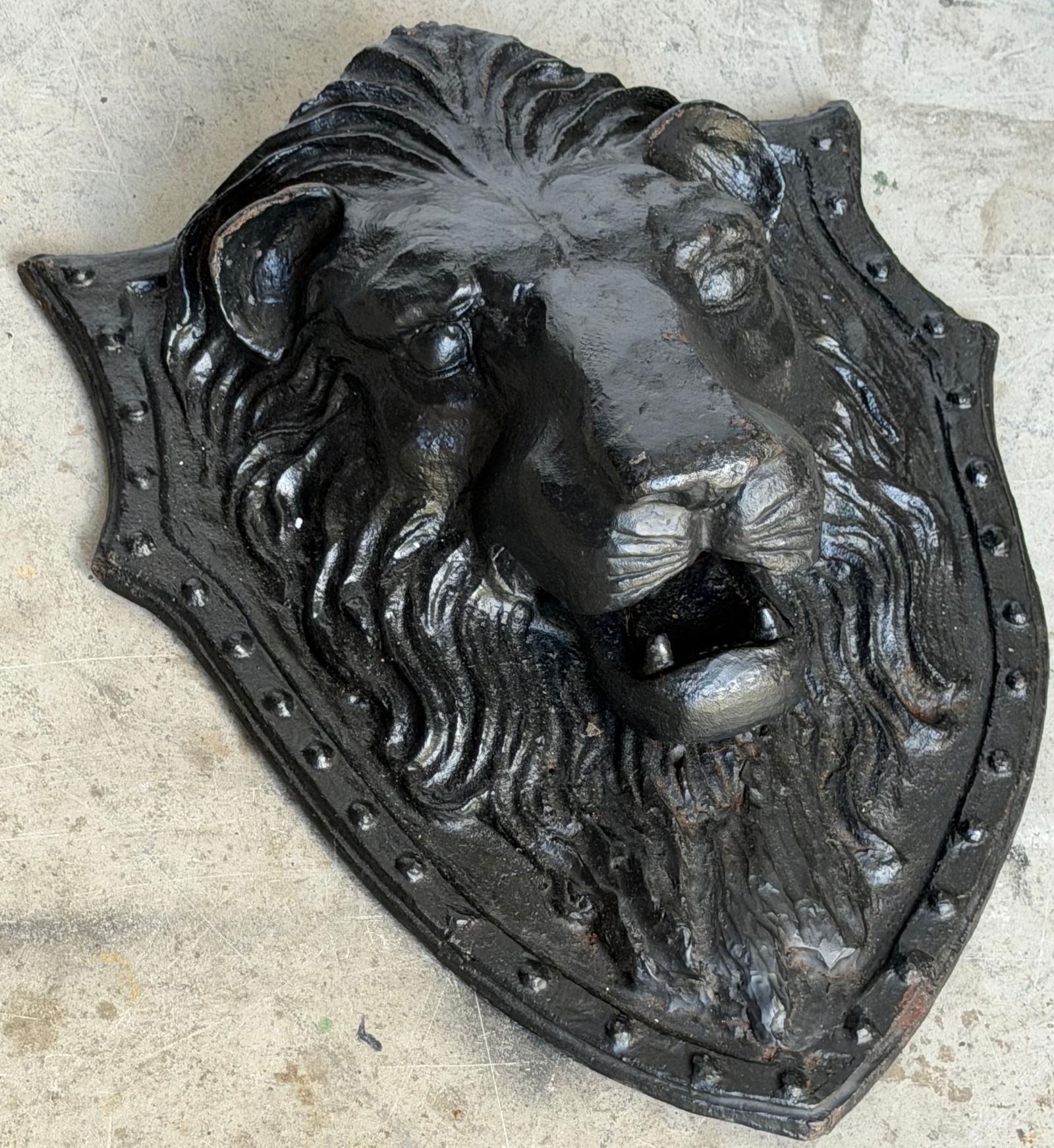 Large 19th C. American Cast-Iron Lion Shield Medallion, Architectural Ornament - 14