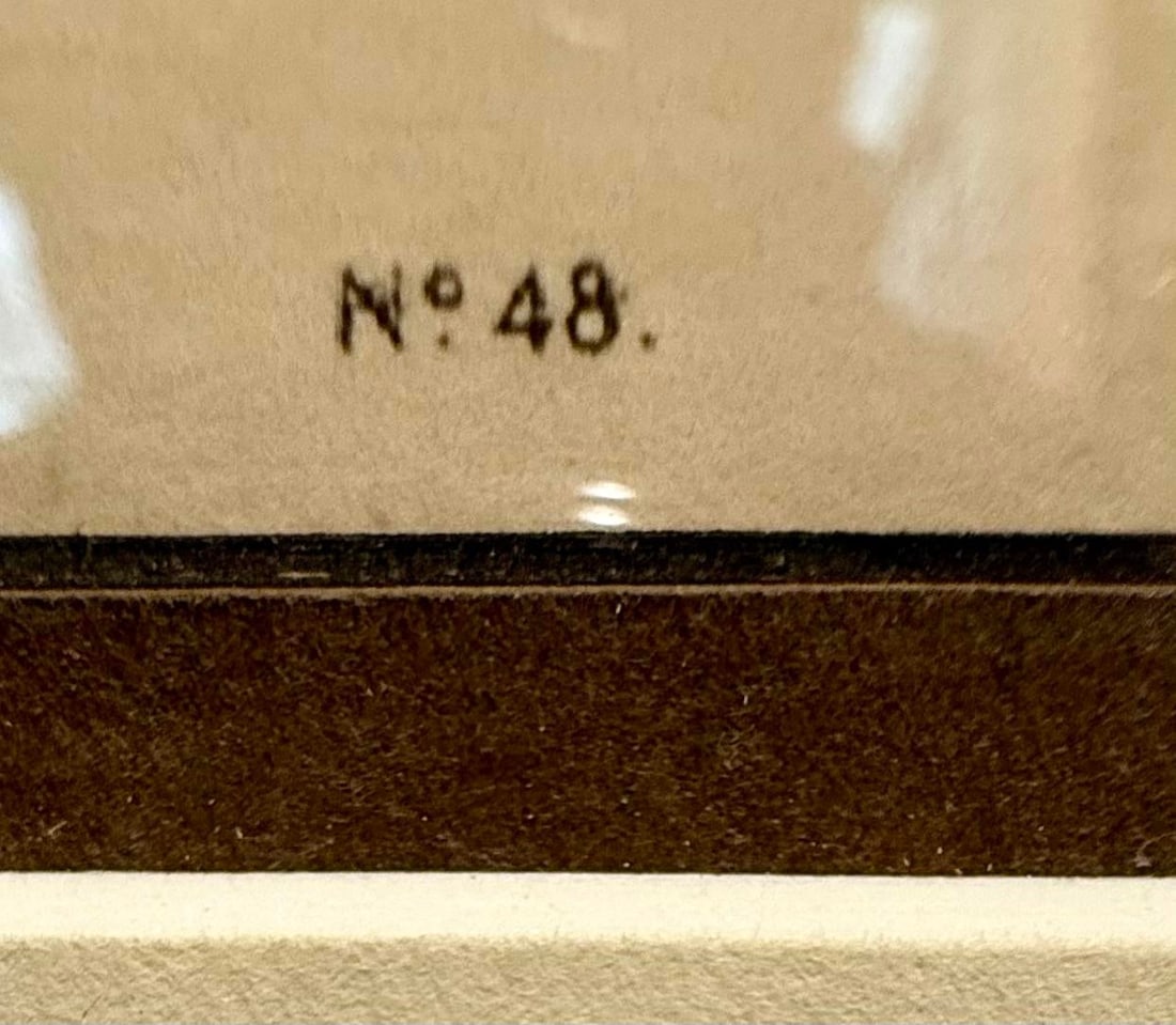 1860s Hand-Colored McKenney & Hall Lithograph "A-Na-Cam-E-Gish-Ca" – Turtle and Cra - 10