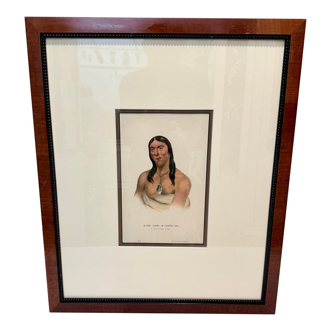 1860s Hand-Colored McKenney & Hall Lithograph "A-Na-Cam-E-Gish-Ca" – Turtle and Cra (1 of 12)