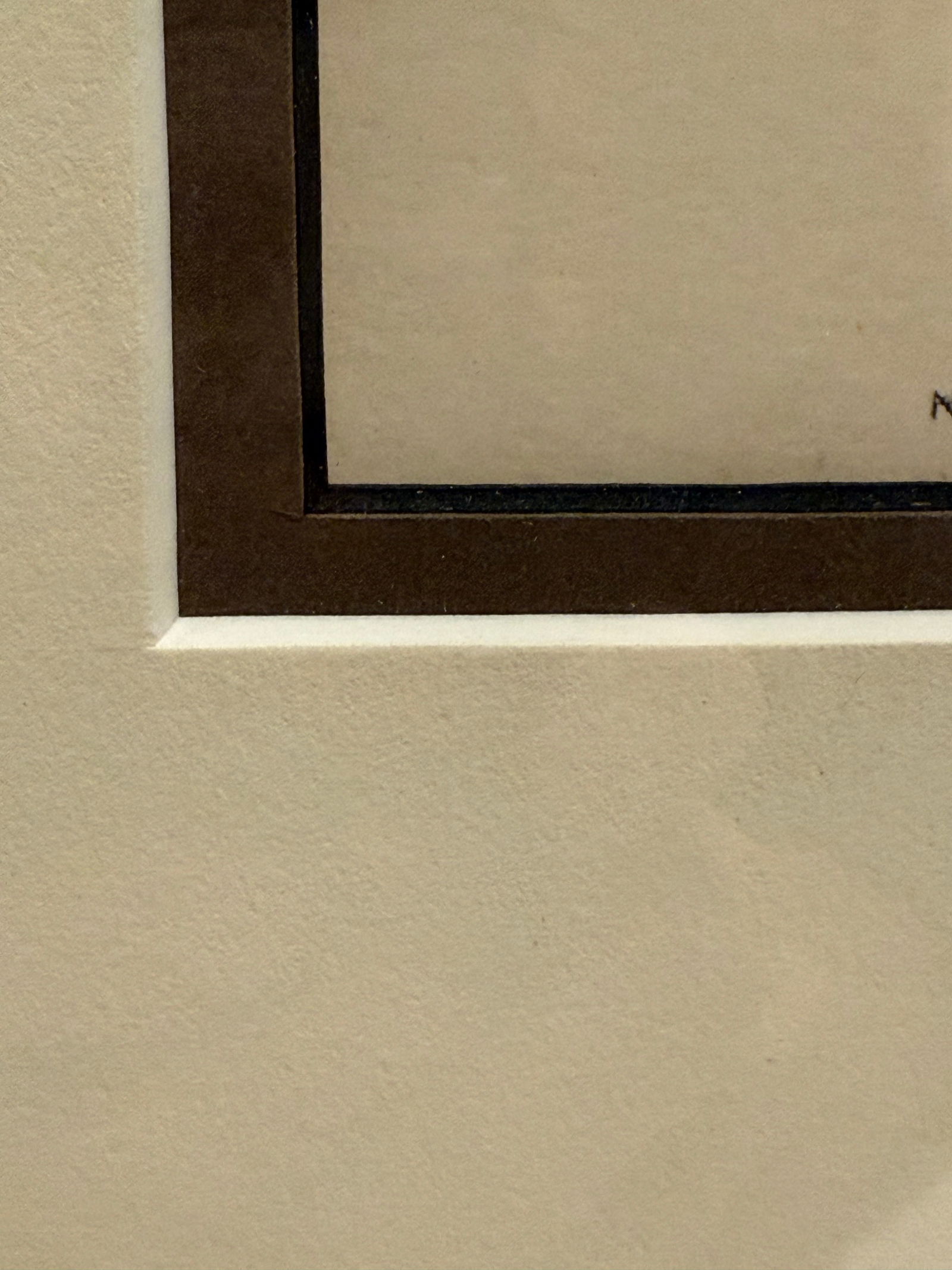 1860s Hand-Colored McKenney & Hall Lithograph "A-Na-Cam-E-Gish-Ca" – Turtle and Cra - 7