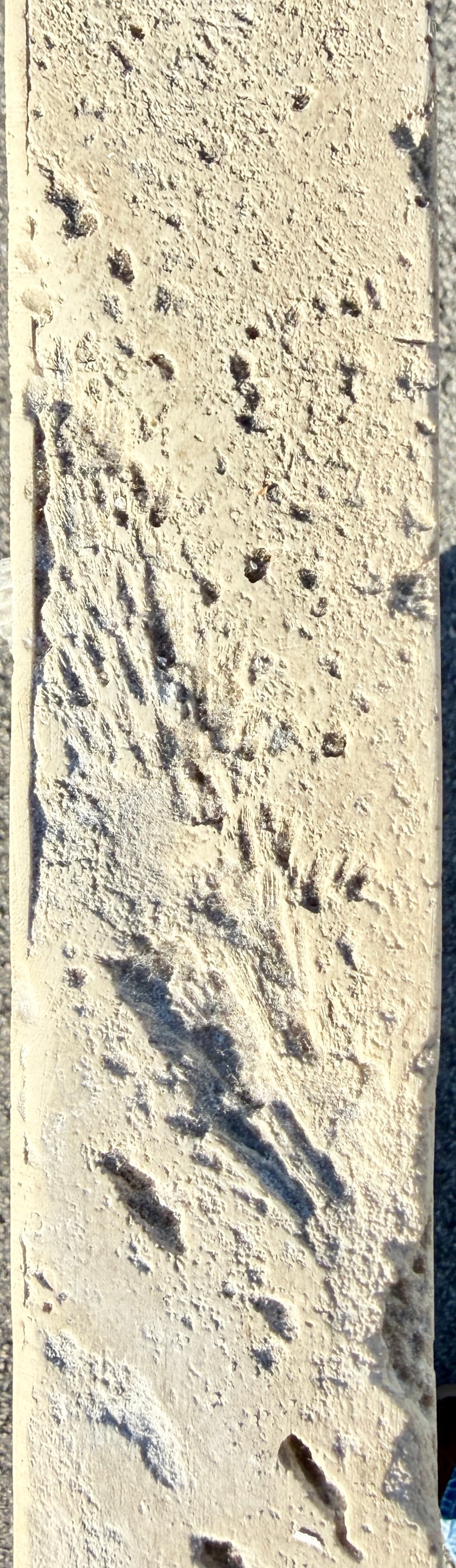 Large Composite Stone Coral Rock Modernist Wall Mirror From 70's - 8