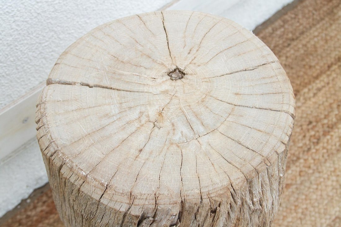 21" Tall Primitive Round Table - 3