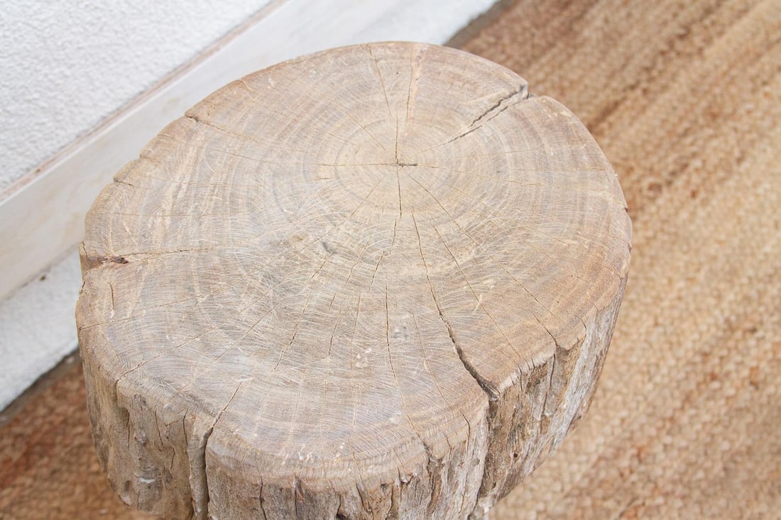 Bleached Solid Slab Wood Table - 6