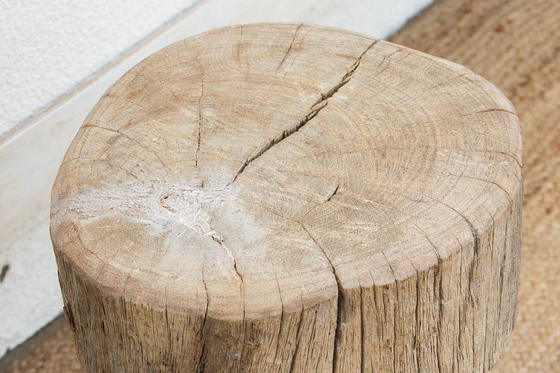 Sun Bleached Log Wood Pedestal Table - 5