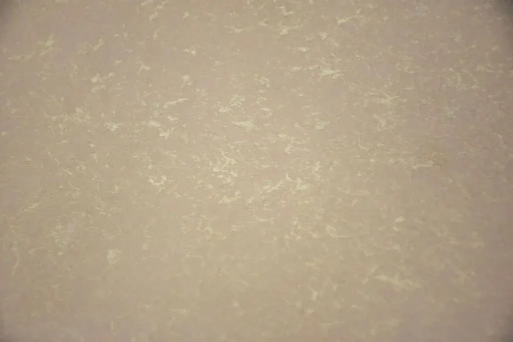 Eames Fiberglass Dax Dining Chair - 8