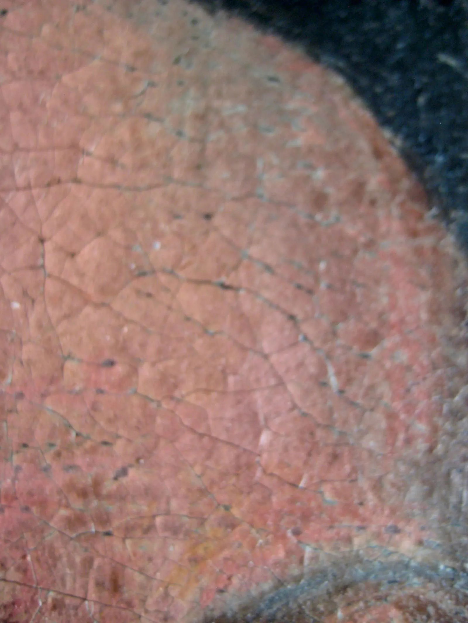 Antique Male Portrait Oil Painting with Bishop Coat of Arms - 12