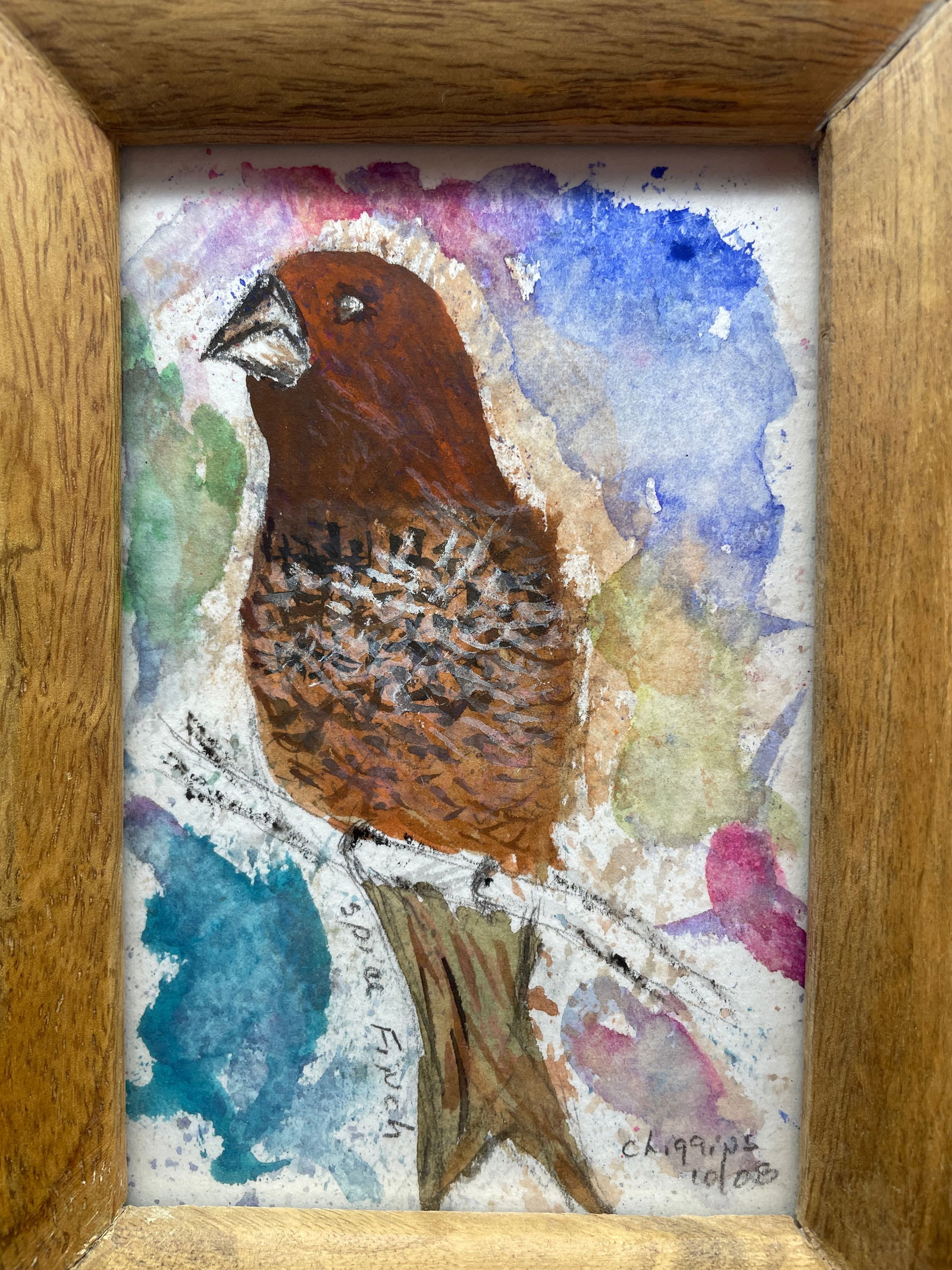 Original Painting Spice Finch Framed Signed C. HIGGINS - 2