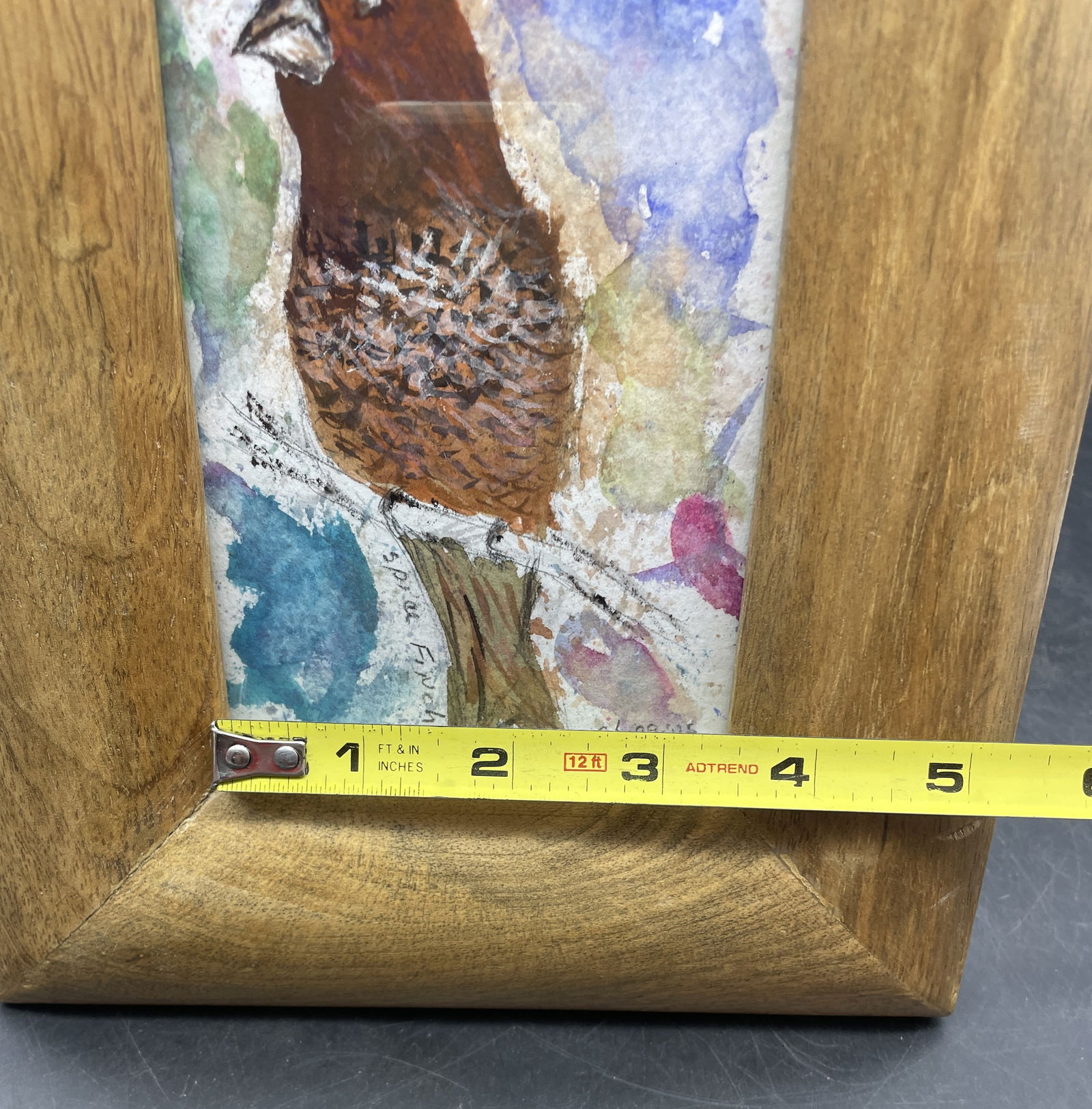 Original Painting Spice Finch Framed Signed C. HIGGINS - 5