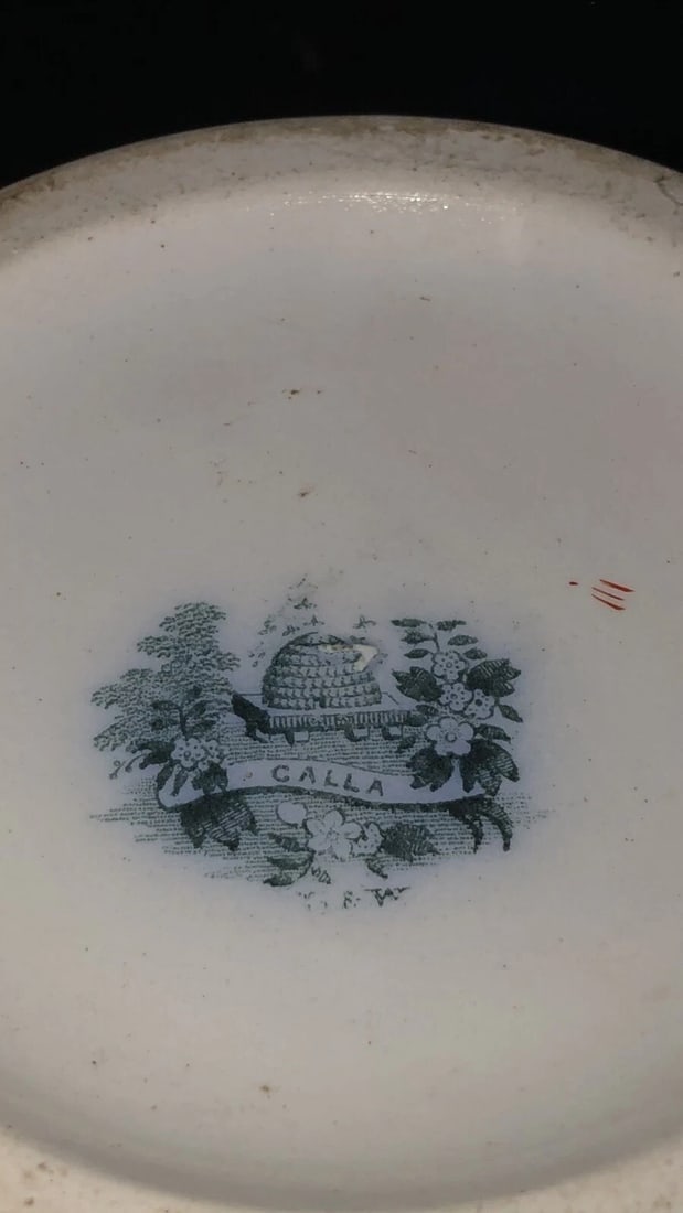 14” Calla Mulberry Pitcher - 5