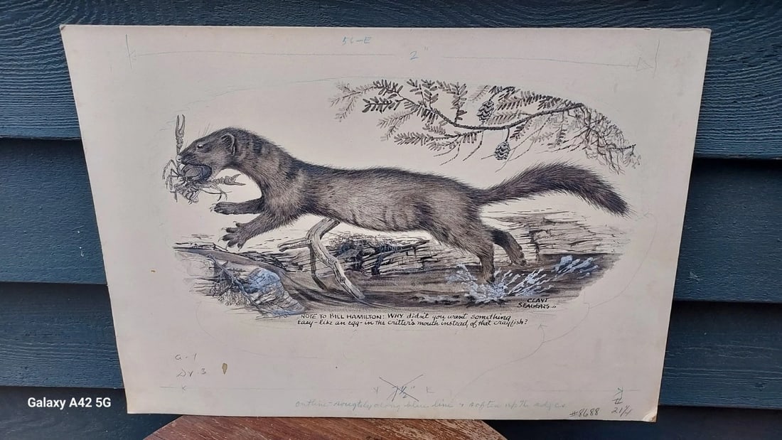 Artist Drawn Illustration Wildlife Artist Fisher With Crab: Came from the estate of Wayne Trimm a listed wildelife illustrator. Made for Wayne by another listed wildlife illustrator. Clayton Seagears. Complains about fischer having a crab versus and egg in mou
