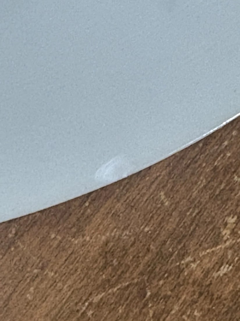 Early 19th Century Chinese Export Porcelain Famille Plate - 4