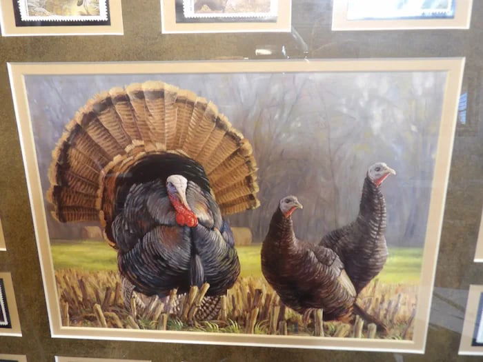 National Wildlife Foundation Turkey Stamps 1990 - 4