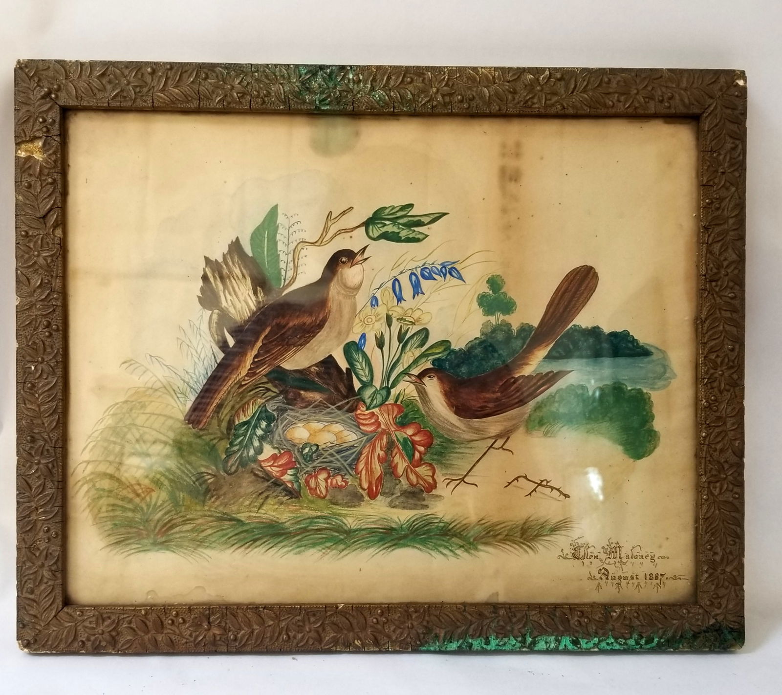 Watercolor of birds, flowers, a nest with eggs: Signed and dated. Pennsylvania origin. Foxing on paper and chips to the plaster frame, all of which can be restored. 12 by 15.5 inches. Wonderful work and color. Sh