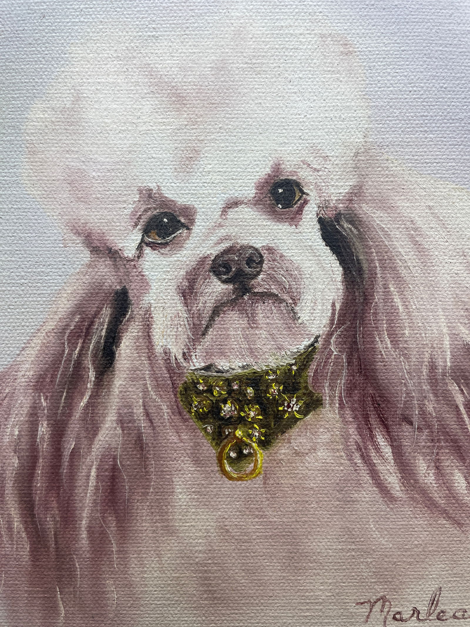 Vintage Poodle Oil On Canvas Portrait Original Signed Flocked Frame - 3