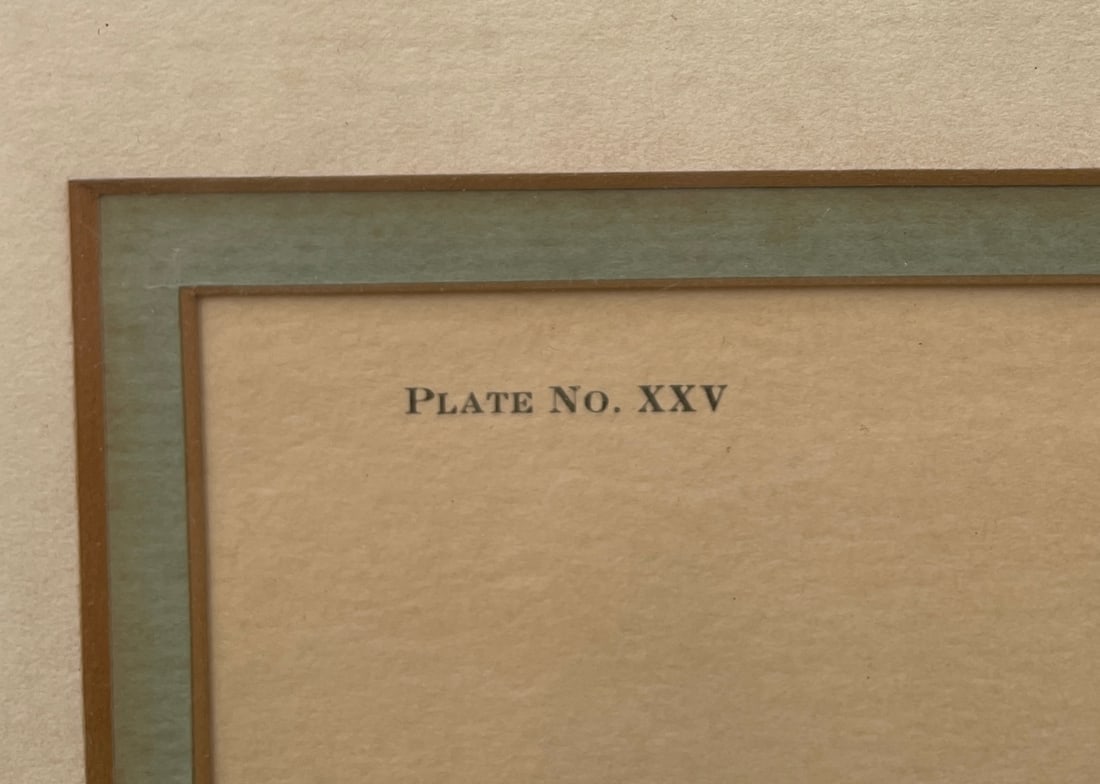 RAY HARM YELLOW THROAT WARBLER,BAY BREASTED & BLACKBURNIAN WARBLER SIGNED FRAMED - 4