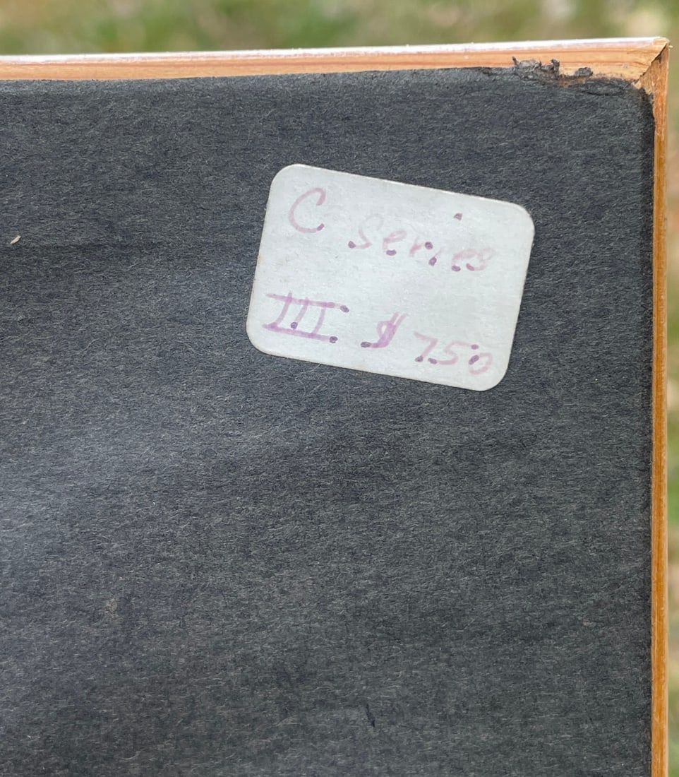 Outsider Art Flower Painting on Paper Framed Signed SADIE EPSTEIN - 6