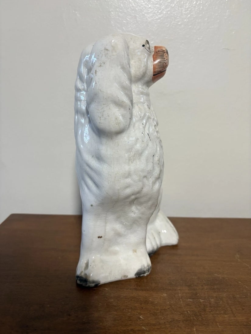 Staffordshire Spaniel Dog - 2