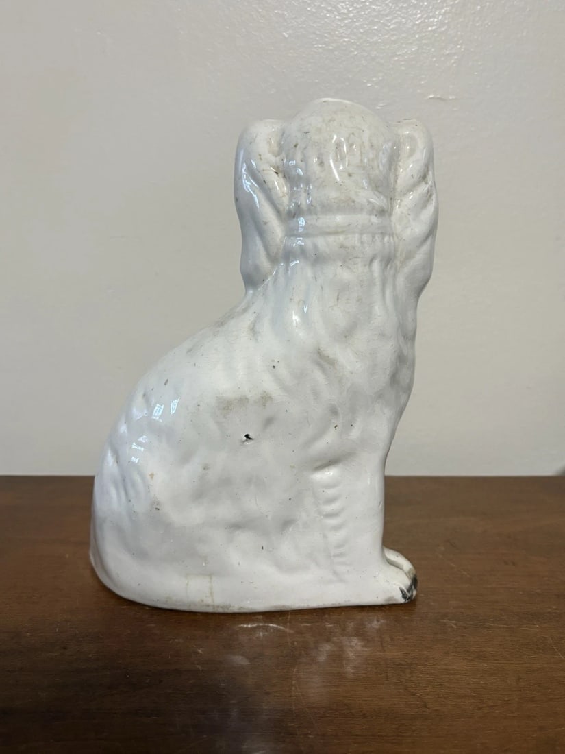 Staffordshire Spaniel Dog - 3