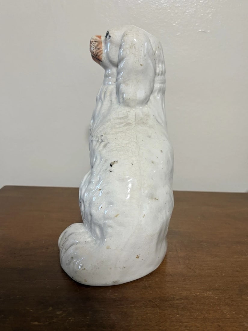 Staffordshire Spaniel Dog - 4