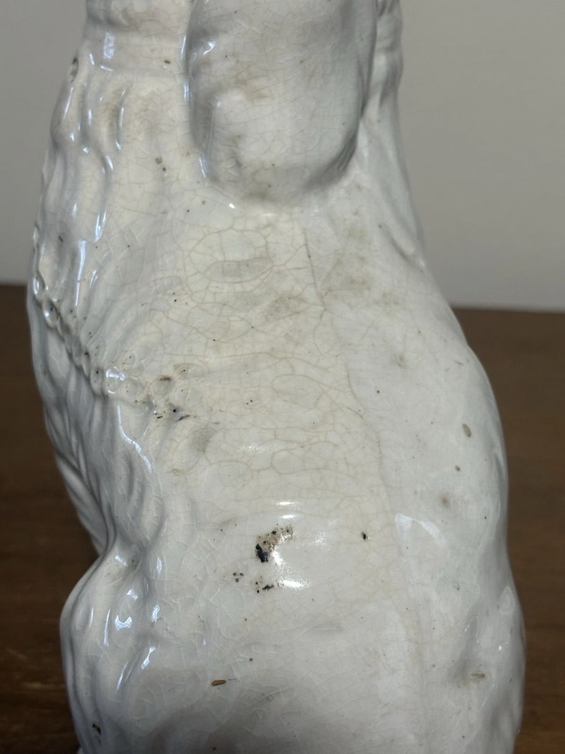 Staffordshire Spaniel Dog - 7