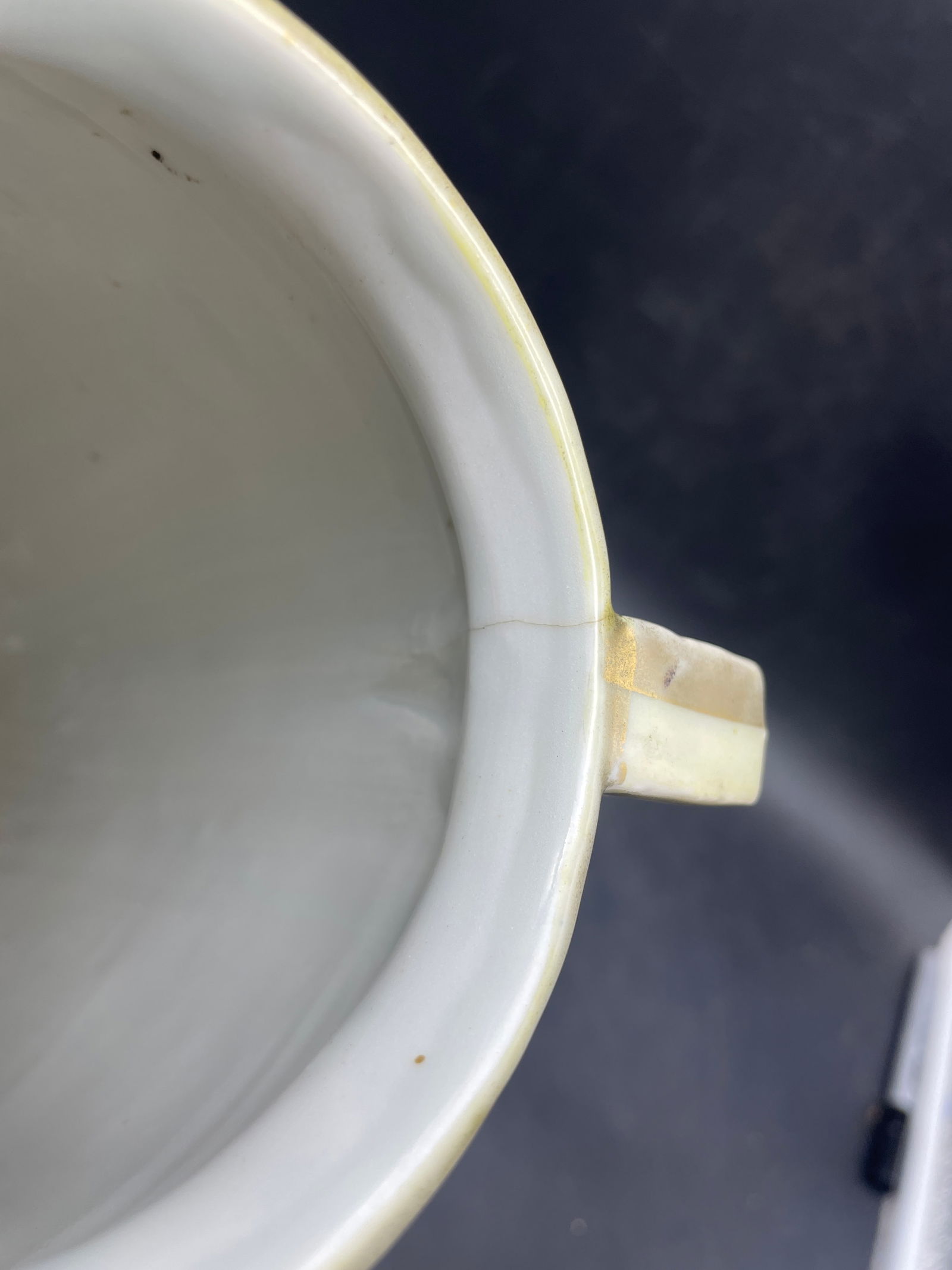 Antique Double Handle Vase Hand Painted 12" tall - 7