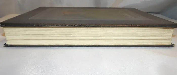 1921 Cactus University of Texas Annual - 3