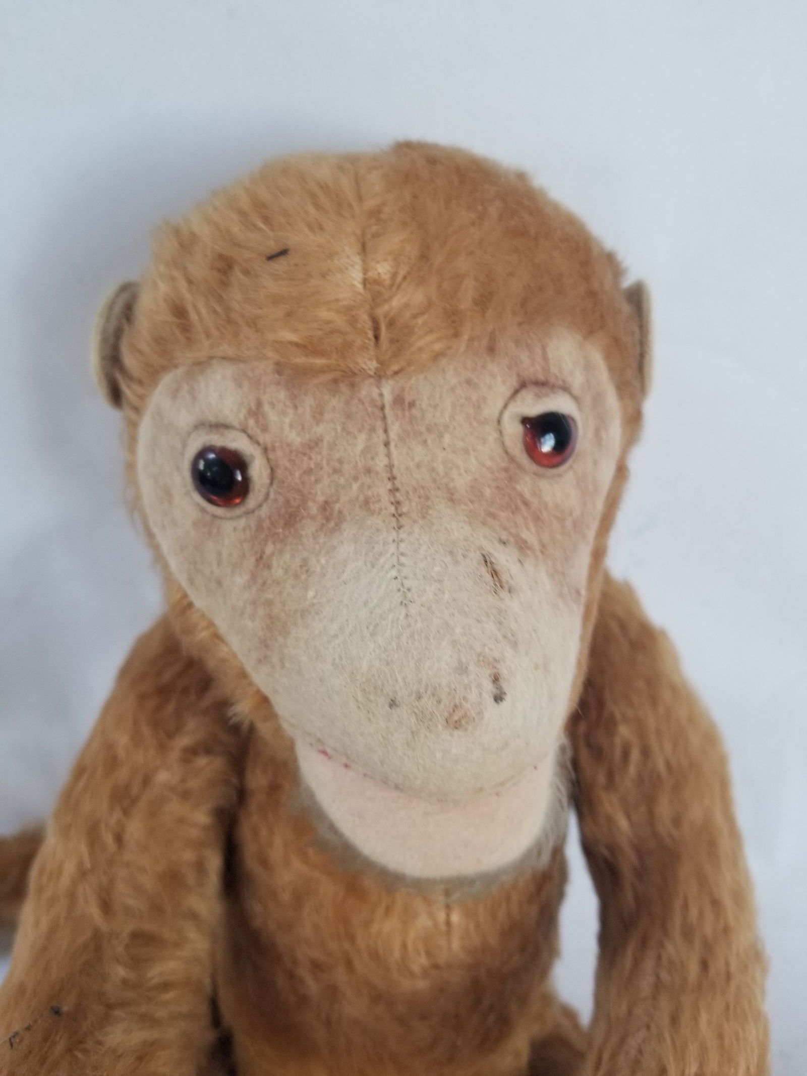 Wonderful straw-stuffed monkey - 3