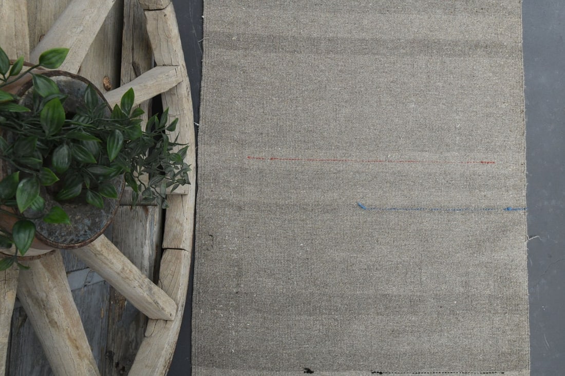 2.8x10.9 TURKISH BEIGE Runner Rug - 5