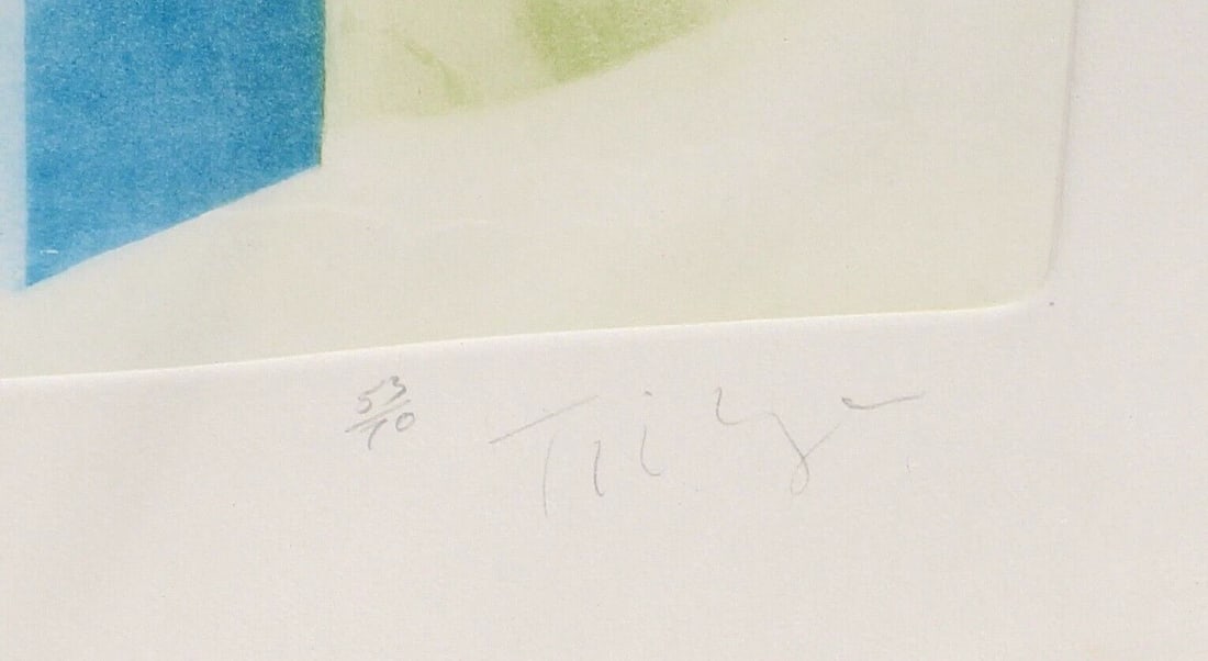 WILLIAM TILLYER Living by the Esk Aquatint & Collage #53/70 Featured in a Book - 4