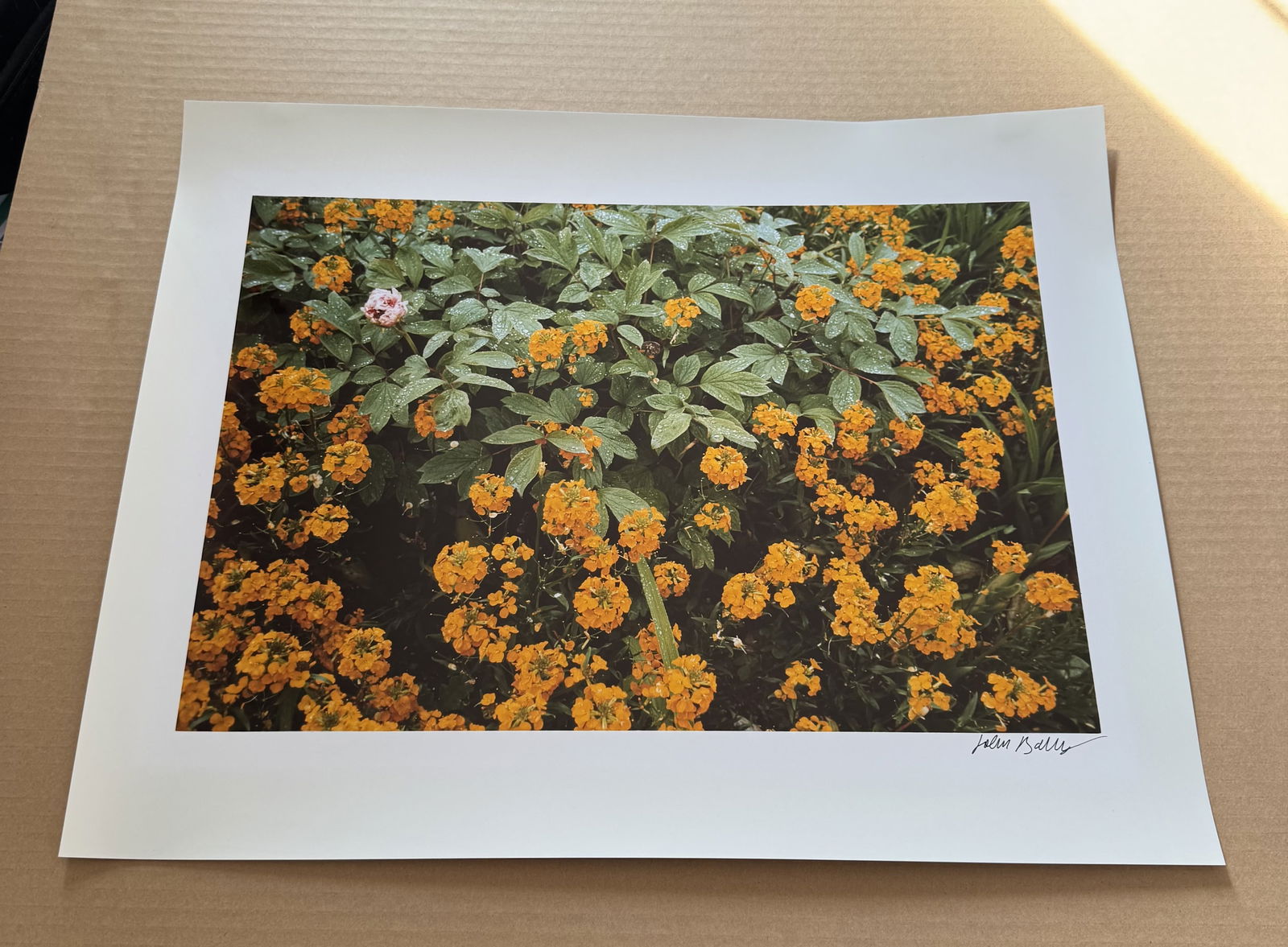 John Batho. photograph print lot of signed and dated original photos: Title: John Batho. photograph print lot of signed and dated original photosDescription:lot of 5 photos 16x20 signed dated see photosDate/Period: 1980sMaterials:photo printDimension:16x20 Reserve: