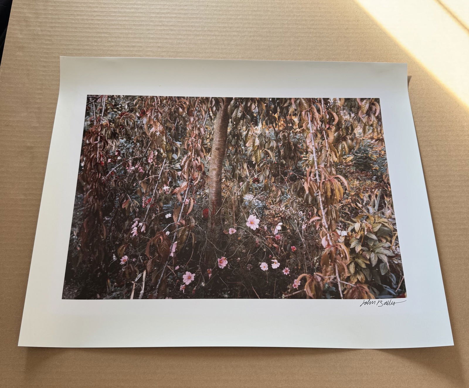 John Batho. photograph print lot of signed and dated original photos - 4