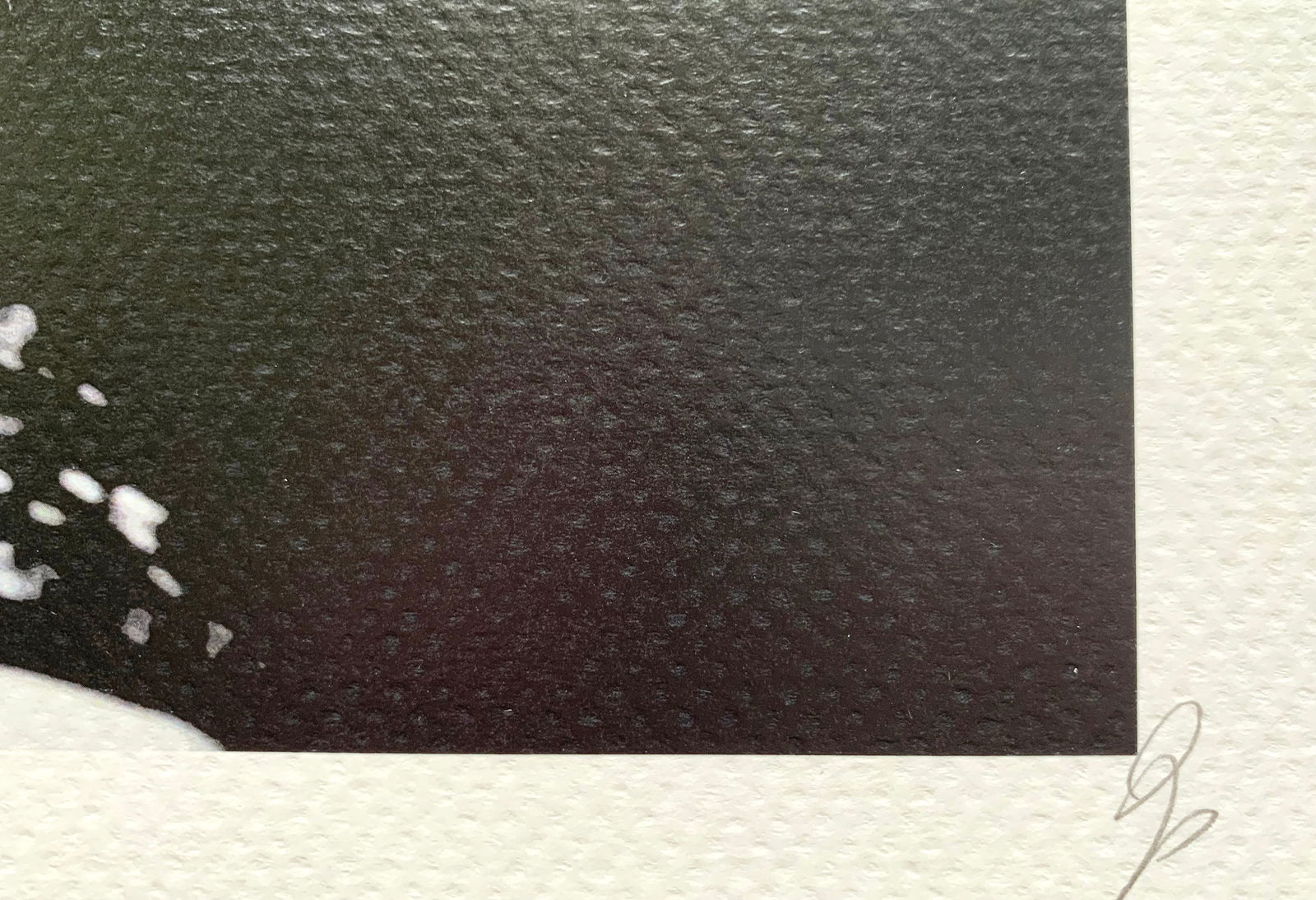 Death NYC Madonna - 3