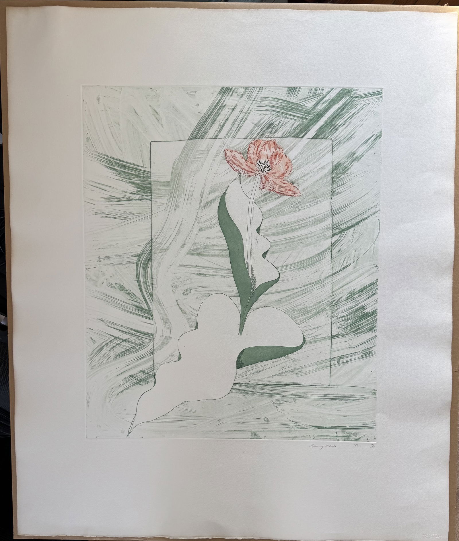 Mary Frank (B.1933) Etching print 1978 signed flower georgia o'keeffe style British-American: Title: Mary Frank (B.1933) Etching print 1978 signed flower georgia o'keeffe style British-American visual artistDescription:flower printDate/Period: 1978Materials:paperDimension:35x30 Reserve: